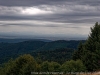 IMG_2006DxO_2