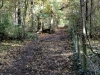 IMG_7819DxO_1