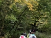 IMG_7822DxO_1