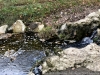 IMG_7823DxO_1