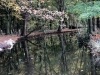IMG_7824DxO_1
