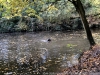 IMG_7825DxO_1