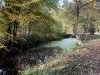 IMG_7827DxO_1
