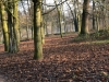 image00006