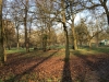 image00008