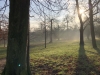 image00010