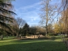 image00011