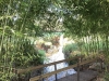 image00012