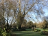 image00013