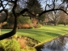 image00014