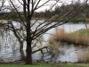 image00006