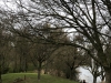 image00007