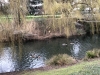 image00008
