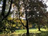 IMG_8491adxo