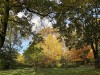 IMG_8492adxo