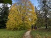 IMG_8495adxo