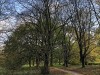 IMG_8497adxo