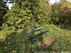 IMG_8500adxo