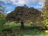 IMG_8501adxo