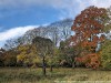 IMG_8503adxo