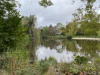 PhotoiPhone_241020_9928