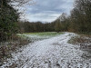 IMG_6995adxo