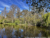 240331_iPhone2163dxo