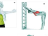 Etirements1