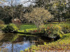 IMG_3181adxo