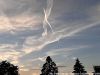 20260804_image_14dxo