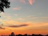 20260804_image_16dxo