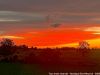 20260804_image_22dxo