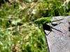 20260804_image_06dxo