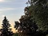 20260804_image_14dxo