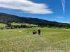 20260804_image_04dxo