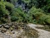 20260804_image_05dxo